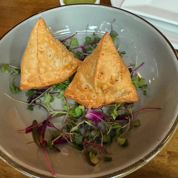 Two golden-brown samosas garnished with fresh microgreens in a light grey bowl at Gol Bowl.